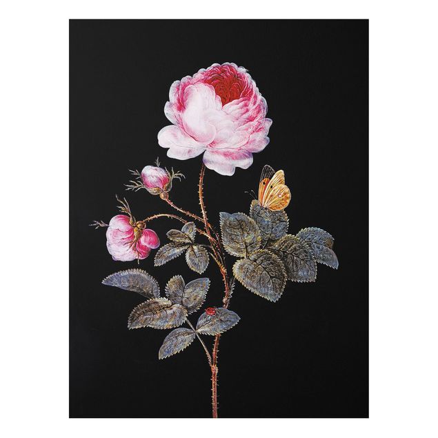 Art styles Barbara Regina Dietzsch - The Hundred-Petalled Rose