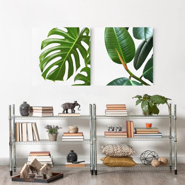 Floral canvas Monstera And Rubber Tree