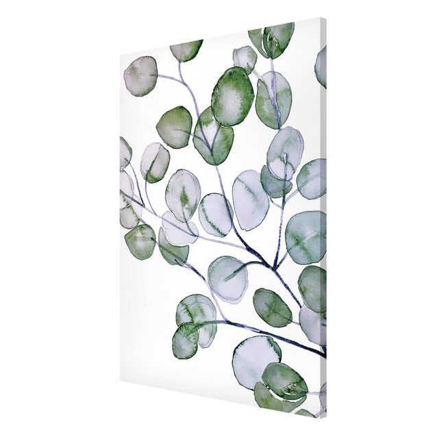 Floral canvas Green Watercolour Eucalyptus Branch