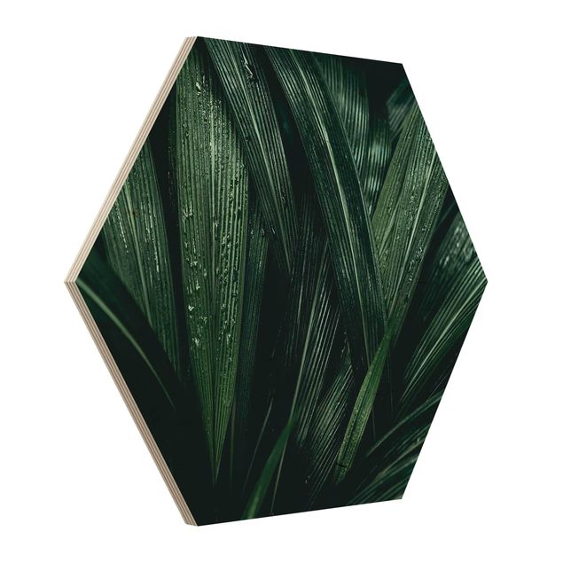 Prints on wood Green Palm Leaves