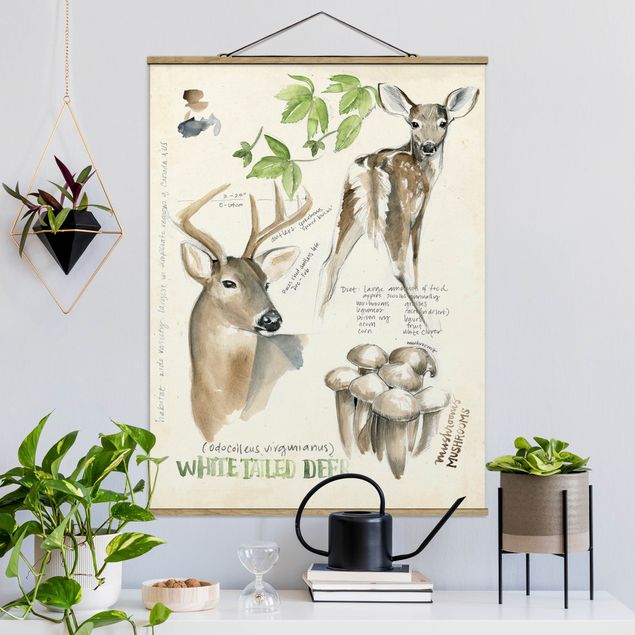 Kitchen Wilderness Journal - Deer