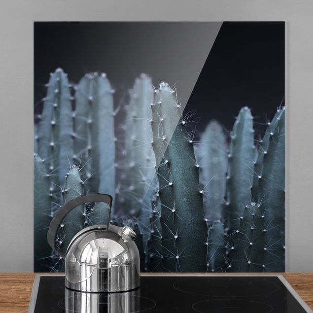 Kitchen Desert Cactus At Night