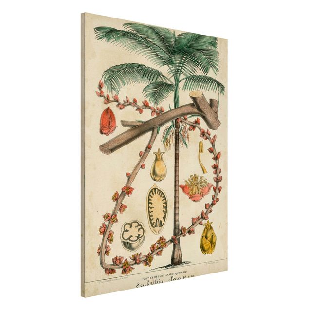 Kitchen Vintage Board Exotic Palms II