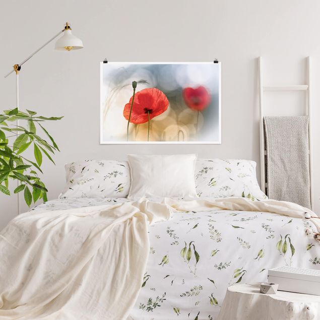 Floral canvas Poppies In The Morning