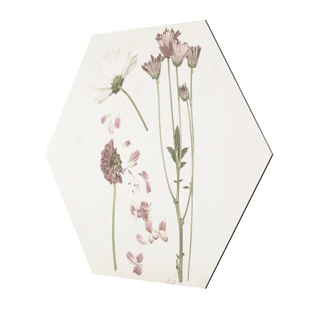 Hexagonal prints Herbarium In Pink II