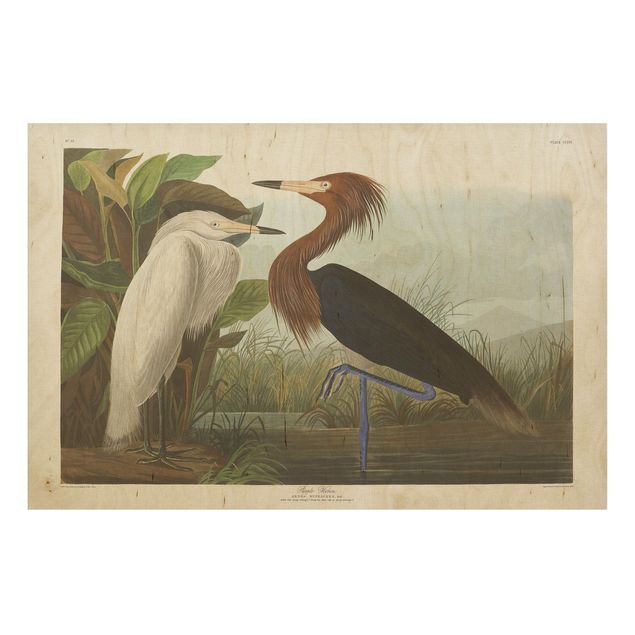 Vintage wood prints Vintage Board Purple Heron
