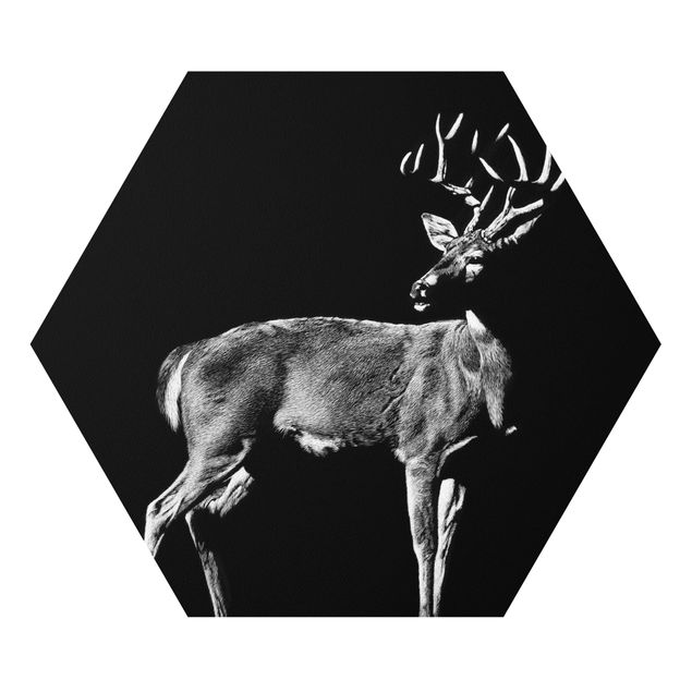 Forex prints Deer In The Dark
