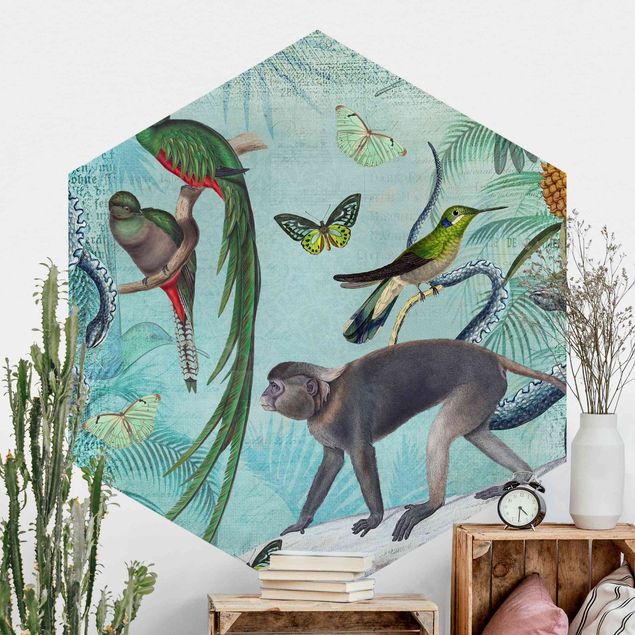 Kitchen Colonial Style Collage - Monkeys And Birds Of Paradise