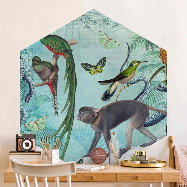 Wallpapers butterfly Colonial Style Collage - Monkeys And Birds Of Paradise