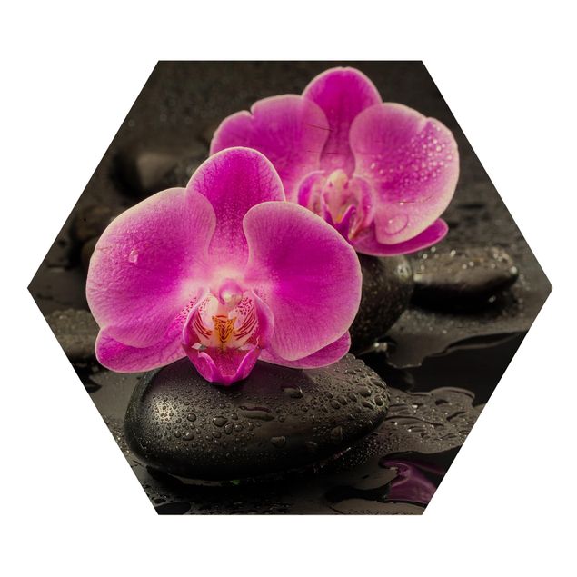 Flower print Pink Orchid Flowers On Stones With Drops