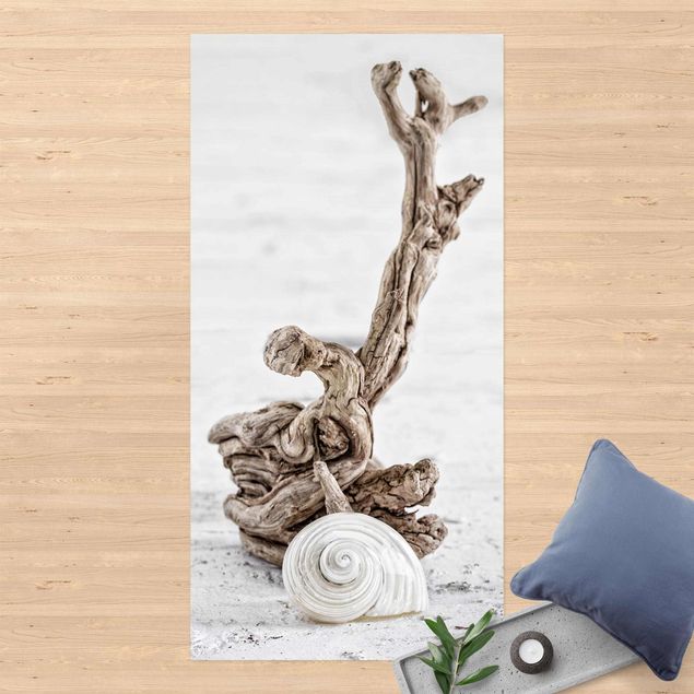 outdoor patio rugs White Snail Shell And Root Wood