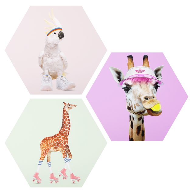 Art prints Giraffes And Kakadu Sport Set I