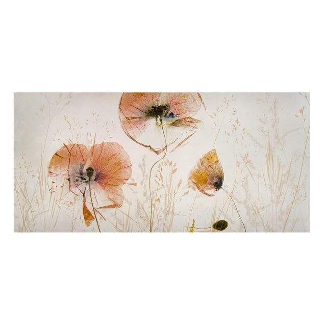 Prints poppy Dried Poppy Flowers With Delicate Grasses