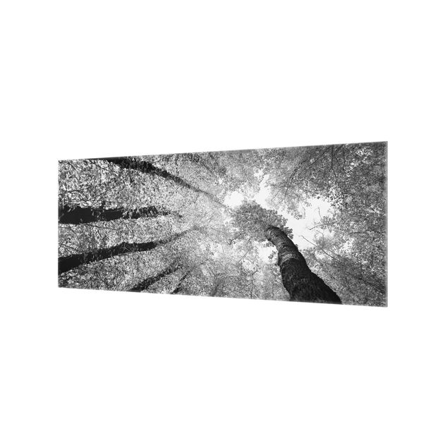 Glass Splashback - Trees Of Life II - Panoramic