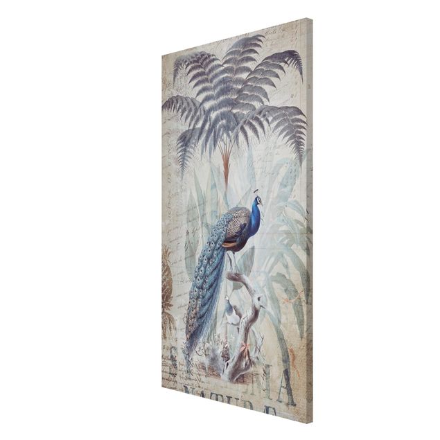 Prints floral Shabby Chic Collage - Peacock