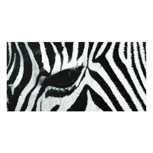 Glass Splashback - Zebra Crossing No.4 - Landscape 1:2