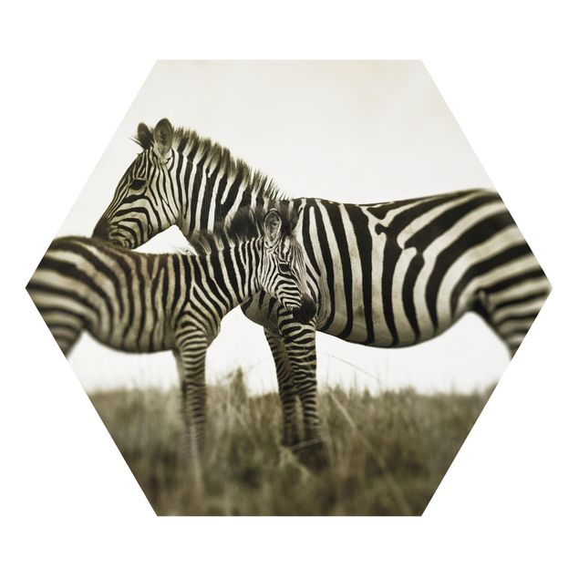 Prints africa Zebra Couple