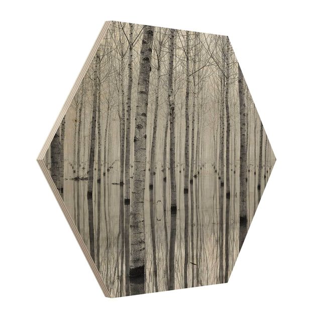 Wood photo prints Birches In November