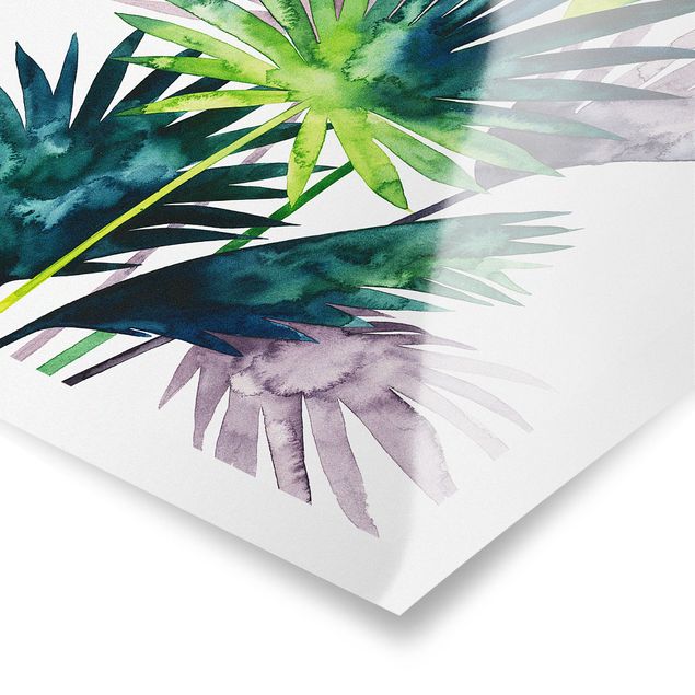 Prints Exotic Foliage - Fan Palm