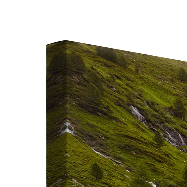 Nature wall art Alpine meadow Tirol