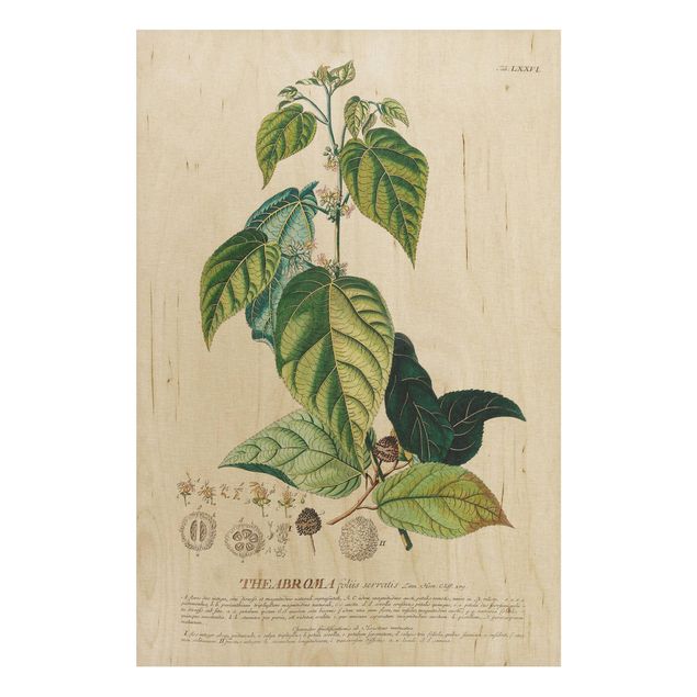 Wood prints flower Vintage Botanical Illustration Cocoa