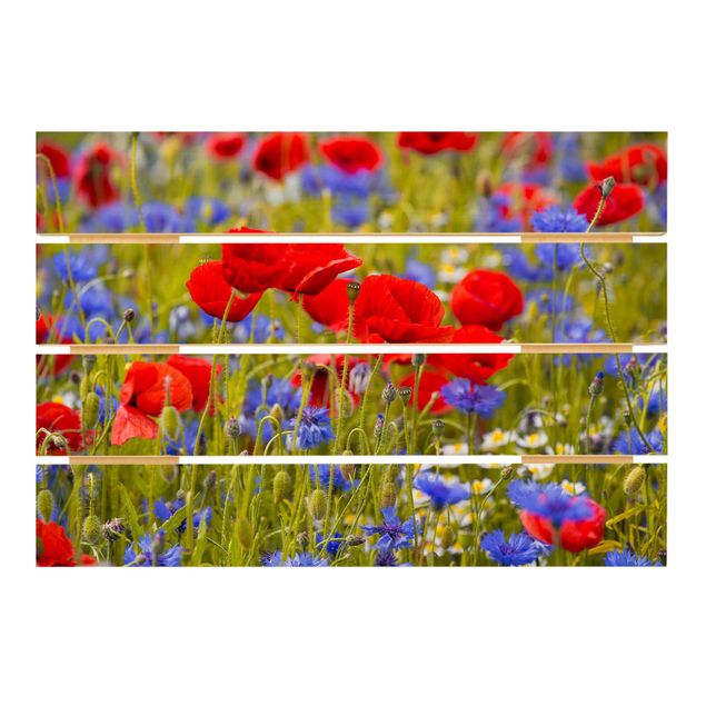 Prints Summer Meadow With Poppies And Cornflowers