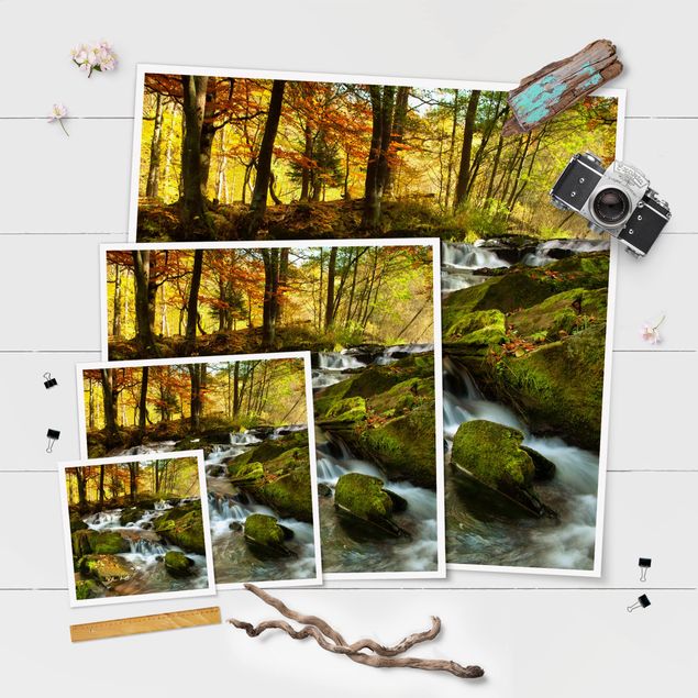 Green art prints Waterfall Autumnal Forest