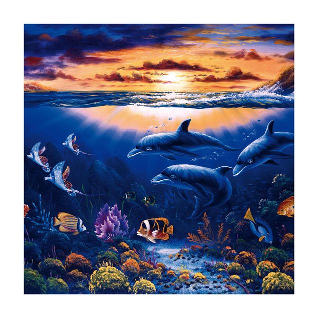 blue area rugs Dolphins World