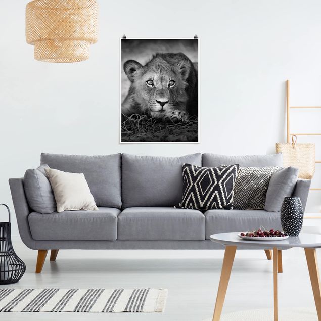 Animal wall art Lurking Lionbaby