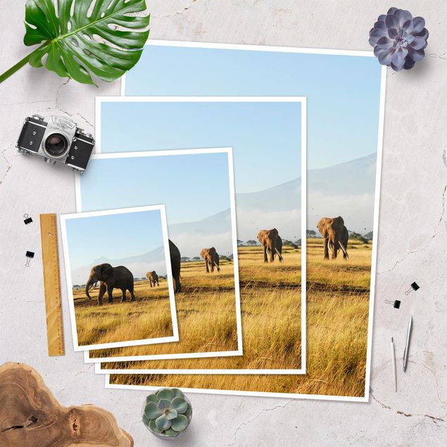Prints Elephants In Front Of The Kilimanjaro In Kenya