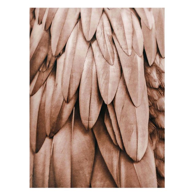 Modern art prints Feathers In Rosegold