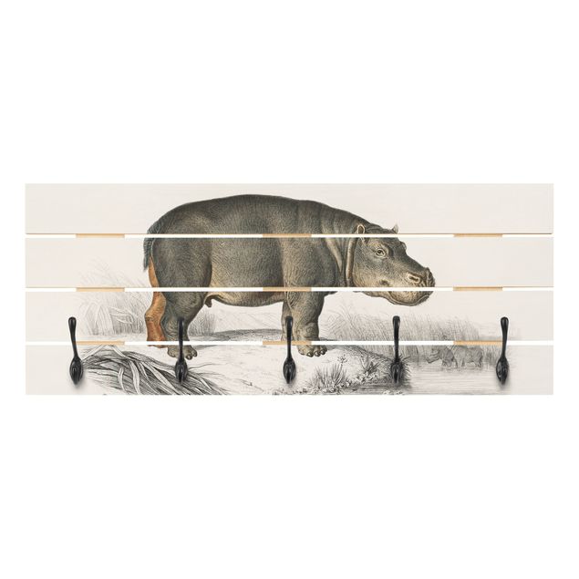 Grey wall mounted coat rack Vintage Board Hippo