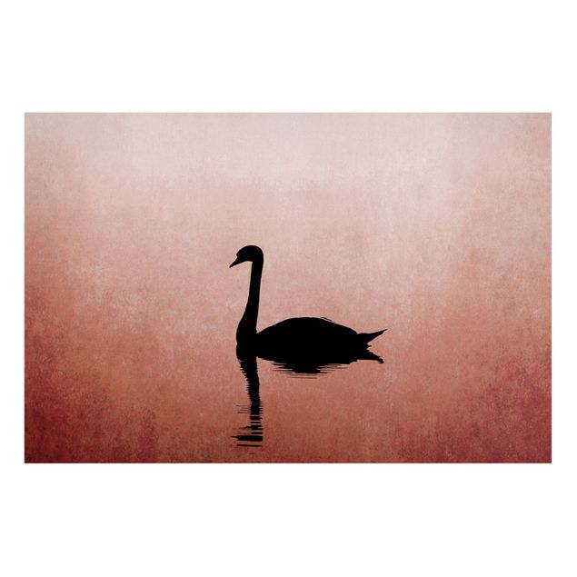 Landscape canvas prints Swan In Sunset