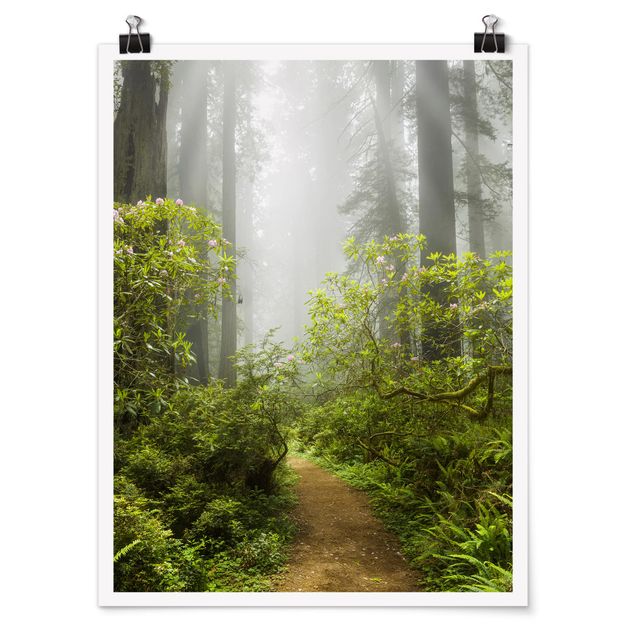 Modern art prints Misty Forest Path
