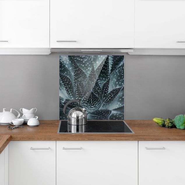 Glass splashback flower Cactus Drizzled With Starlight At Night