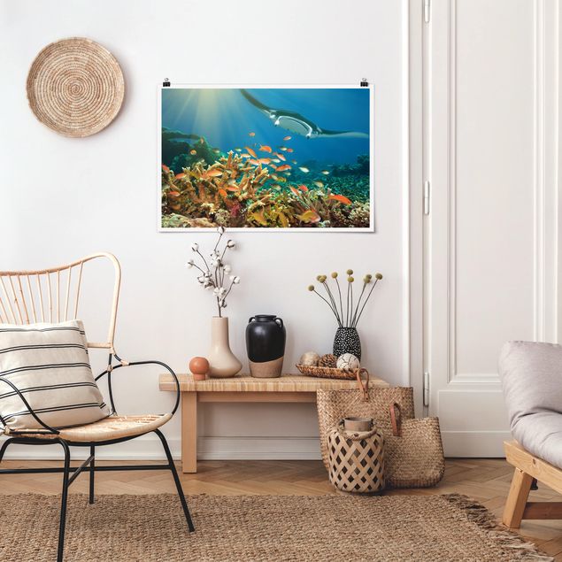 Landscape canvas prints Coral reef