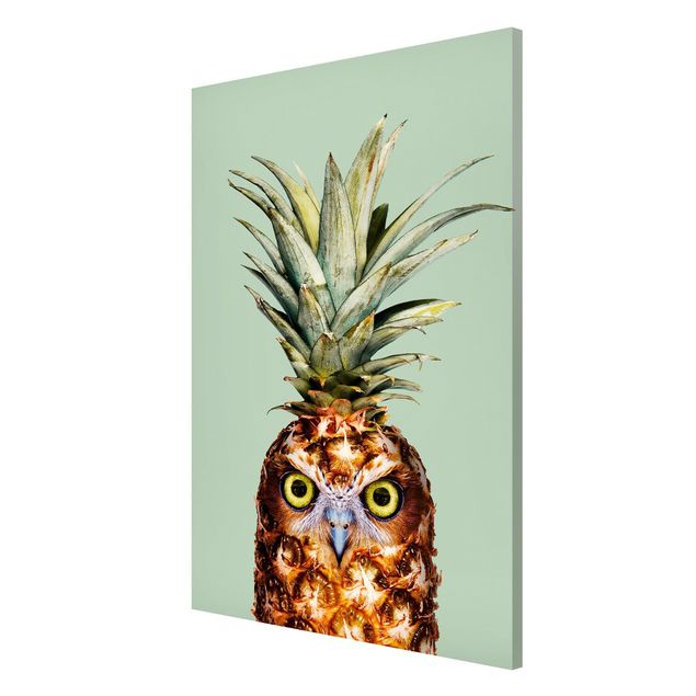 Animal canvas Pineapple With Owl