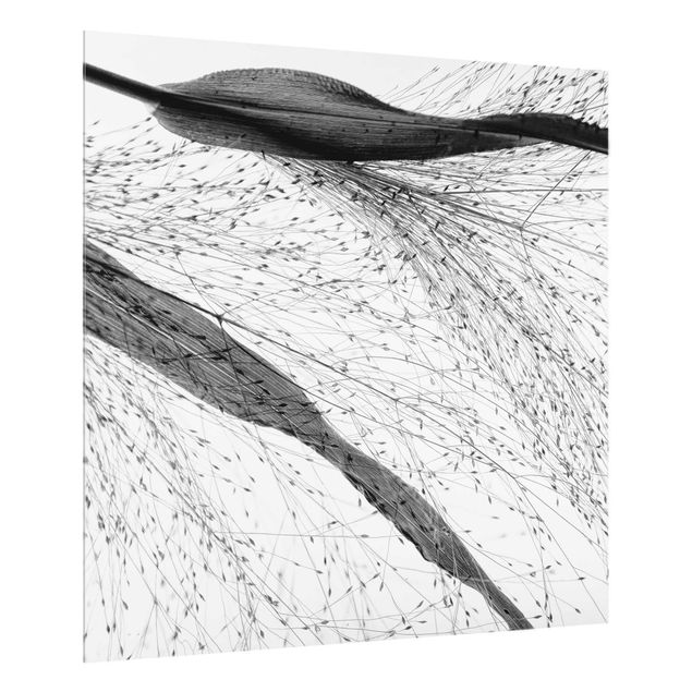 Glass splashback Delicate Reed With Subtle Buds Black And White