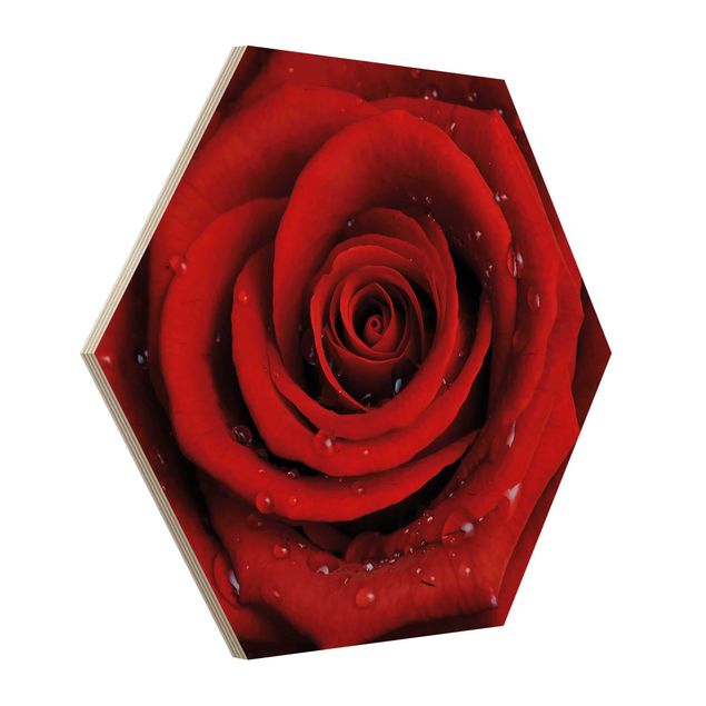 Prints on wood Red Rose With Water Drops