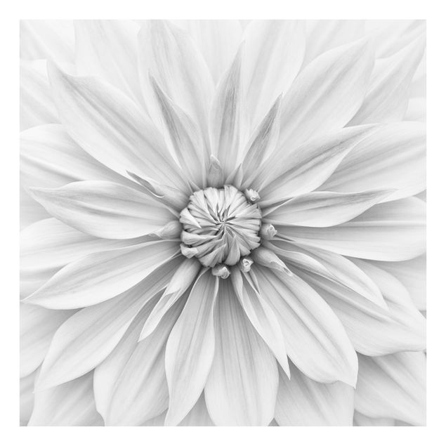 Splashback - Botanical Blossom In White - Square 1:1