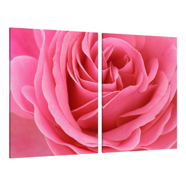 Floral prints Lustful Pink Rose