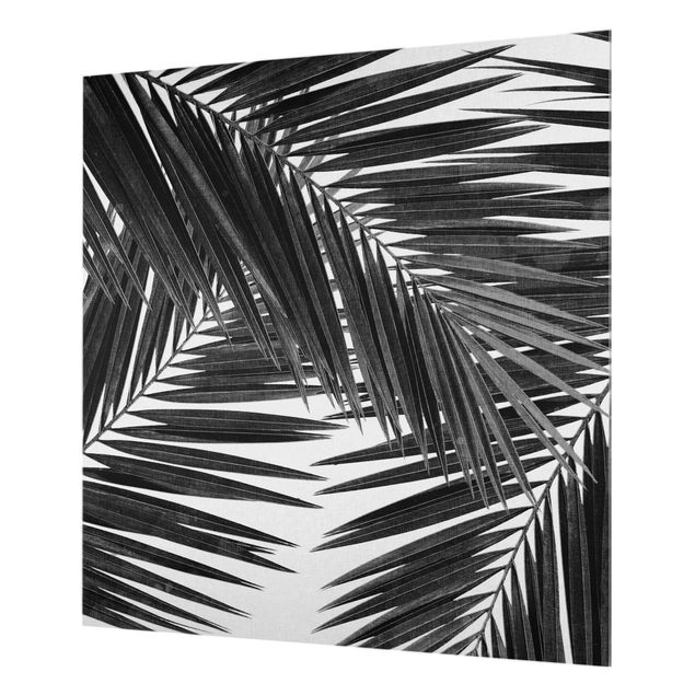 Glass splashback kitchen View Through Palm Leaves Black And White