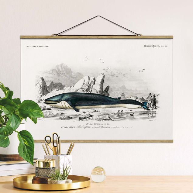 Kitchen Vintage Board Blue Whale