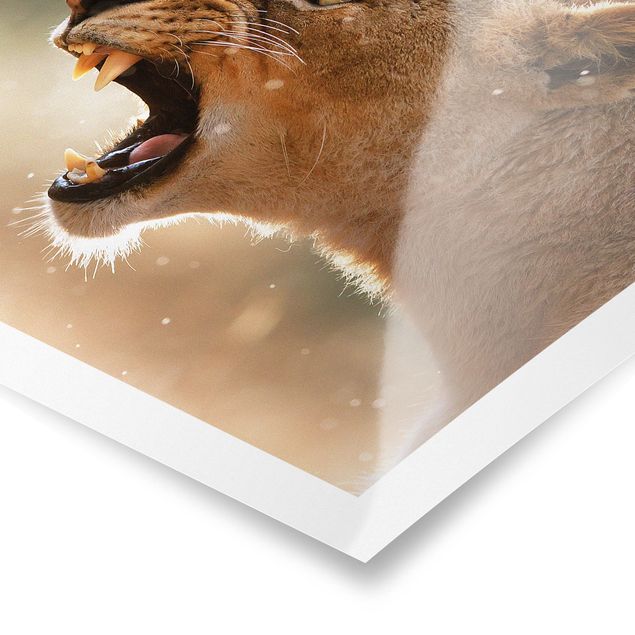 Sea life prints Lioness on the hunt