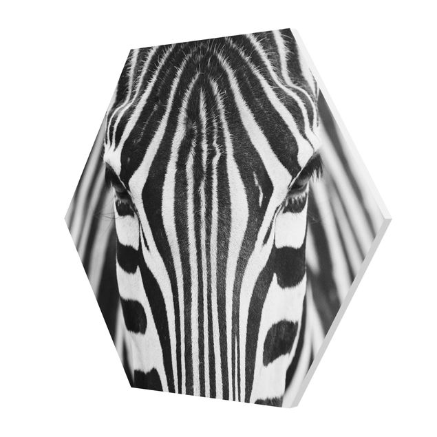 Forex prints Zebra Look