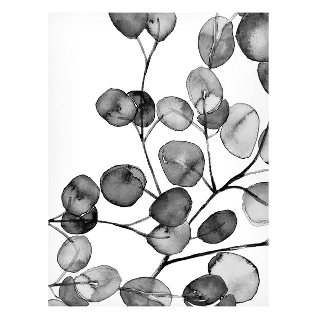 Magnet boards flower Black And White Eucalyptus Twig Watercolour