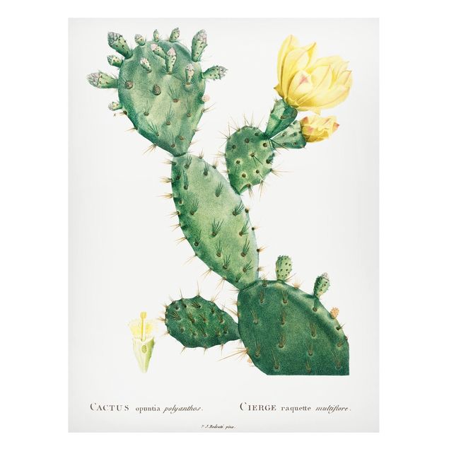 Magnet boards flower Botany Vintage Illustration Cactus With Yellow Flower