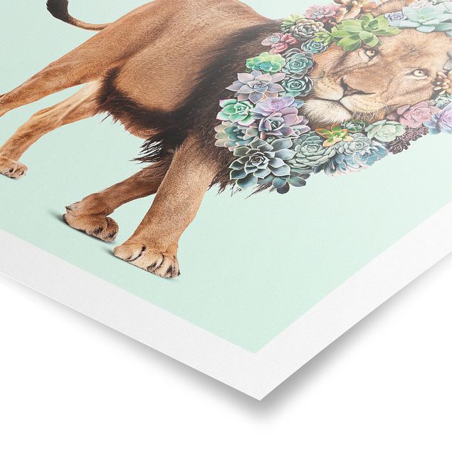 Art posters Lion With Succulents