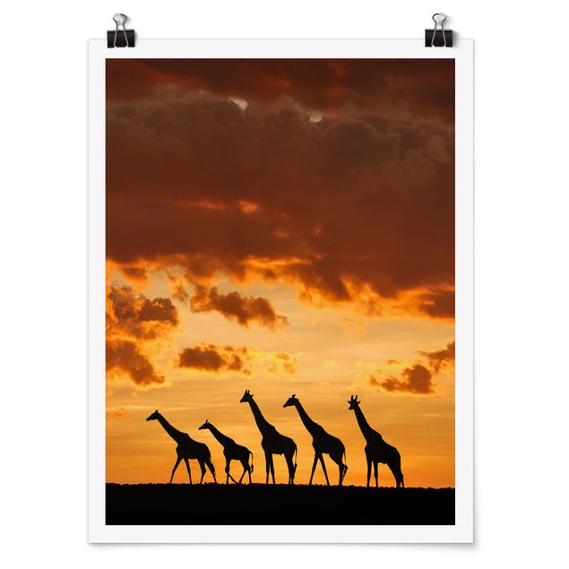 Contemporary art prints Five Giraffes