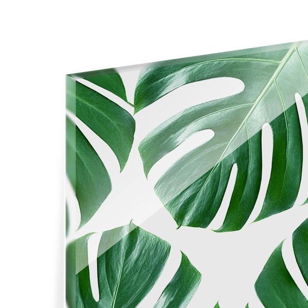 Glass Splashback - Tropical Green Leaves Monstera - Landscape 1:2